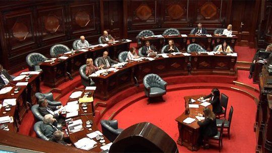 senado