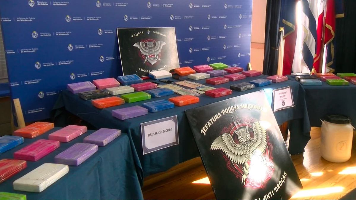 Incautan 53 kilos de cocaína en Maldonado, valuados en USD 500.000: 
