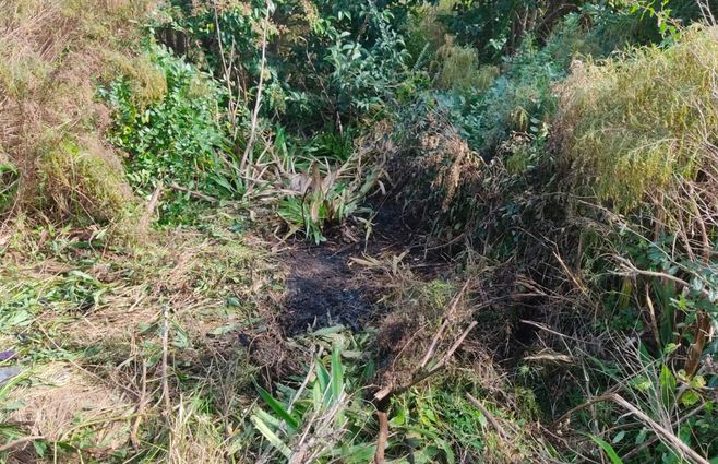 Foto: Subrayado. Lugar donde fue encontrado el hombre muerto, en San Carlos.