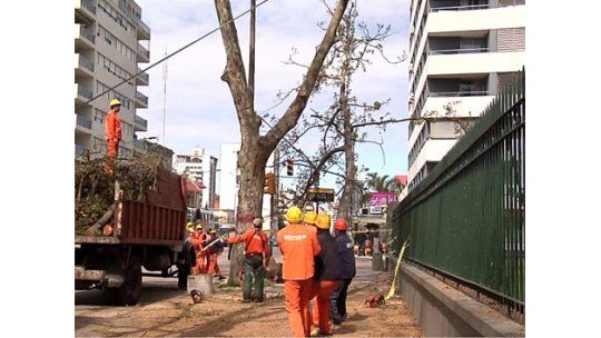 Quedan 46 evacuados y casi 30.000 hogares sin luz