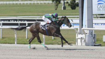 Subrayado | MICRO TURF 25 D NOV