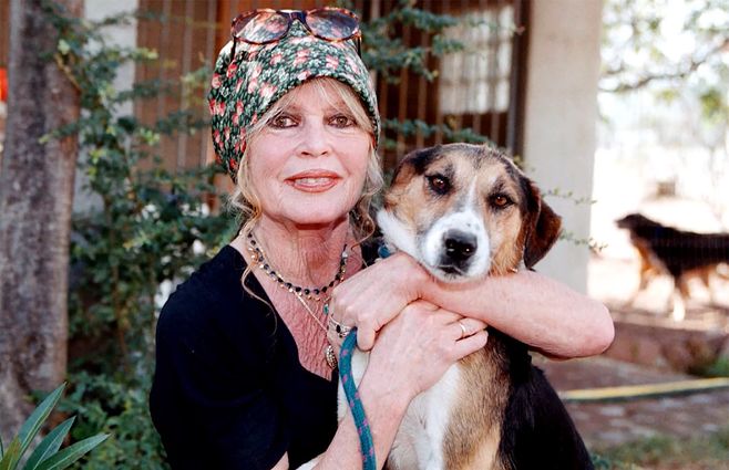 brigitte-bardot-animalista.jpg