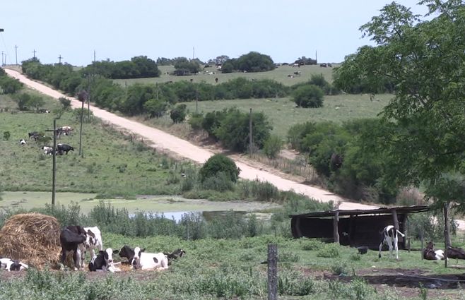 campo-copamiento-florida.jpg