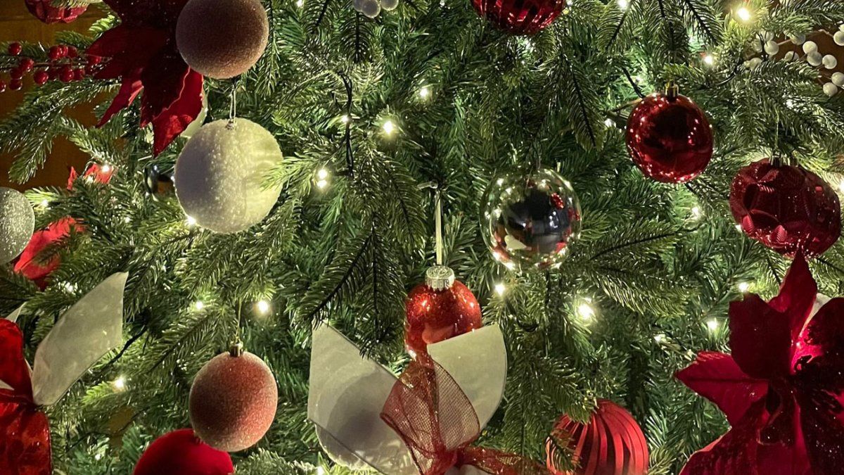 “Viernes más que sofocante”, anunció Cisneros y adelantó que el 31 y el 1° no habrá lluvias