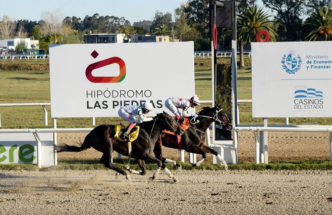 HIPODROMO-LAS-PIEDRAS-ANTONIO-CASTRO.jpg