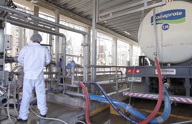Conaprole, un oligopolio que maneja el 75% de la producción nacional de leche y sus derivados