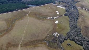 colonizacion compro un campo de 900 hectareas en paysandu y preve adquirir dos mas