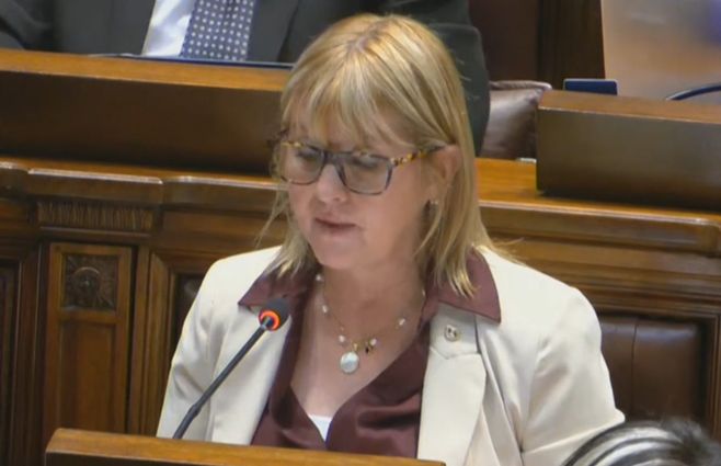 cristina-lustemberg-interpelación-diputados