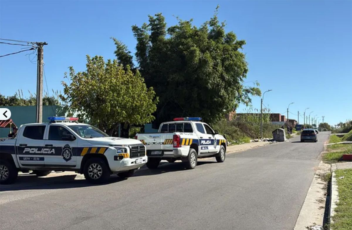 Conductor de camión que tiró columna que mató a peatón, quedó en libertad y se archivó el caso