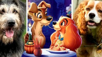 Subrayado | CINE LA DAMA Y EL VAGABUNDO