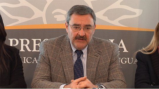 gallo diputado