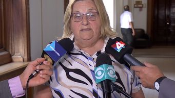 graciela bianchi detallo como sigue el tratamiento para juicio politico a carolina cosse