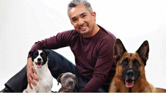 cesar millan