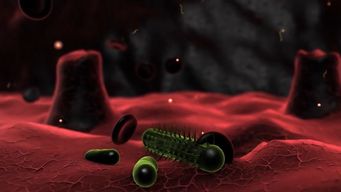 pediatras alertan por aumento de casos de intoxicacion con paracetamol tras advertencia del msp