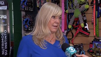 cuidados a tener con las mascotas durante la ola de calor; pueden usar bloqueador solar pero con precaucion