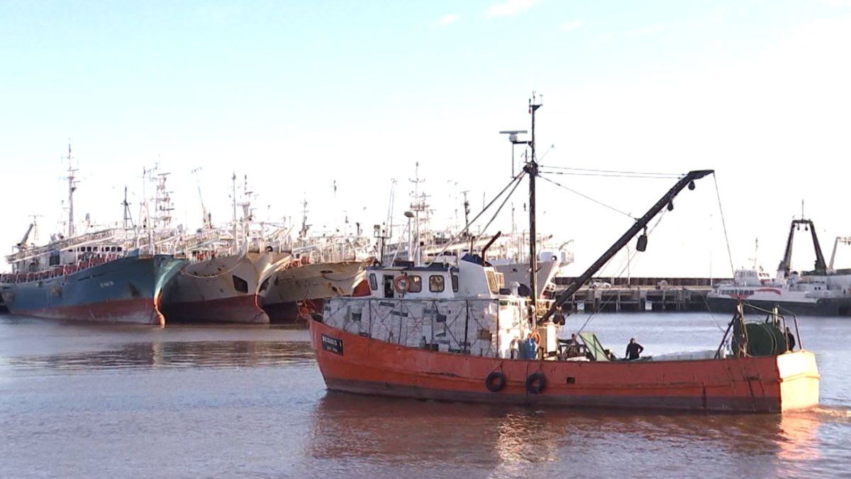 "Uruguay habilita la semiesclavitud en la industria pesquera", denuncia sindicato de trabajadores de la pesca