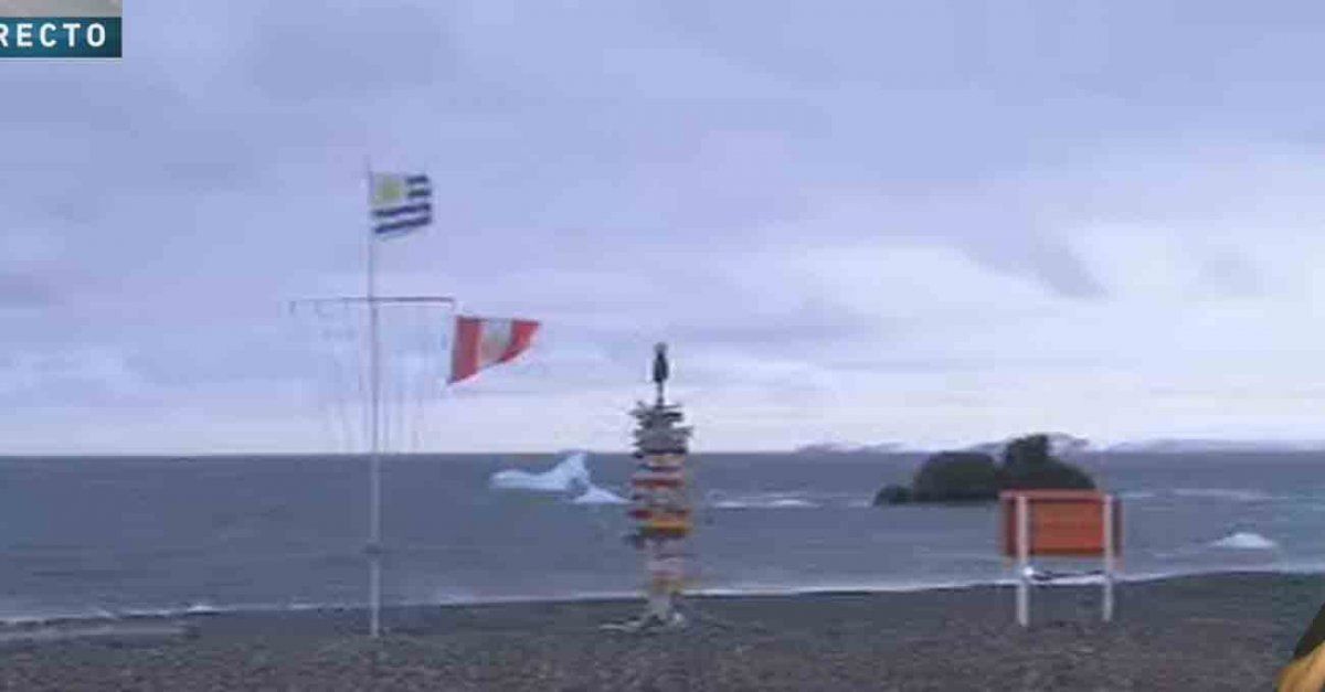 Instituto Antártico Uruguayo niega que se haya enviado un contenedor vacío a la Base Artigas