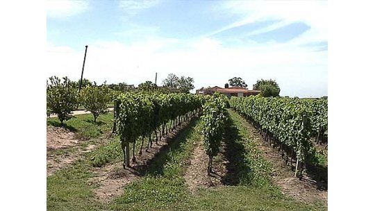 Copamiento en bodega: 3 delincuentes redujeron a 4 personas