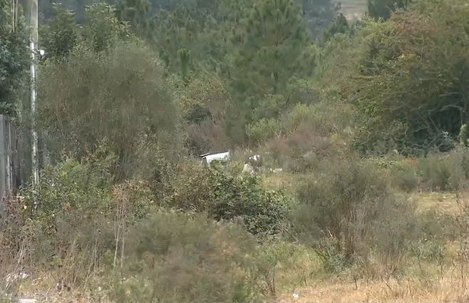 homicidio-cuerpo-desmembrado-san-luis