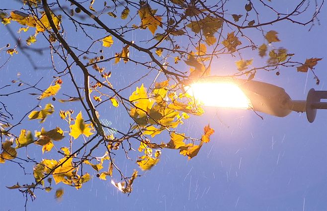 FRIO-LLUVIA-OTOÑO-VIENTO-TIEMPO-7.jpg