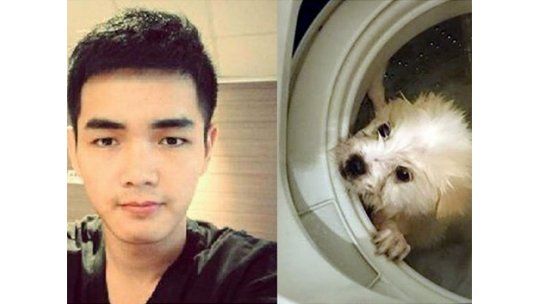 Ahogó a su perro en el lavarropas y publicó las fotos