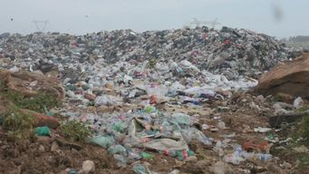 Foto: Vertedero municipal / Archivo / Intendencia de Salto