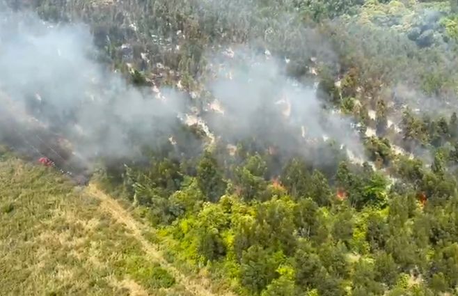 incendio-forestal-fuego-melilla