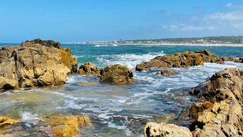 sube la temperatura y comienza una ola de calor, segun nubel cisneros
