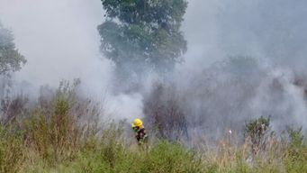 bomberos logro controlar los incendios forestales en rio negro y paysandu