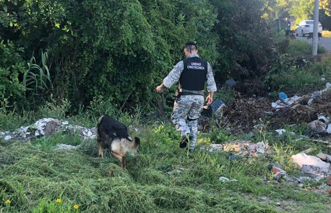 El baldío donde fue hallado Nacaratto