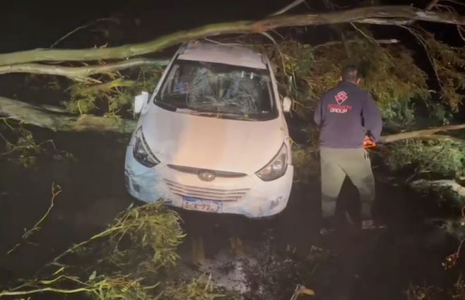 auto-árbol-caído-Melo-temporal-julio-12.jpg
