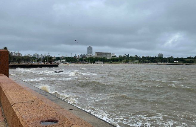 Foto: Subrayado. Rambla de Montevideo, a la altura de Palermo.