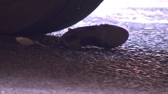 Está en CTI la mujer embestida por un ómnibus de Cutcsa en el Centro; el conductor se encuentra detenido Está en CTI la mujer embestida por un ómnibus de Cutcsa en el Centro; el conductor se encuentra detenido