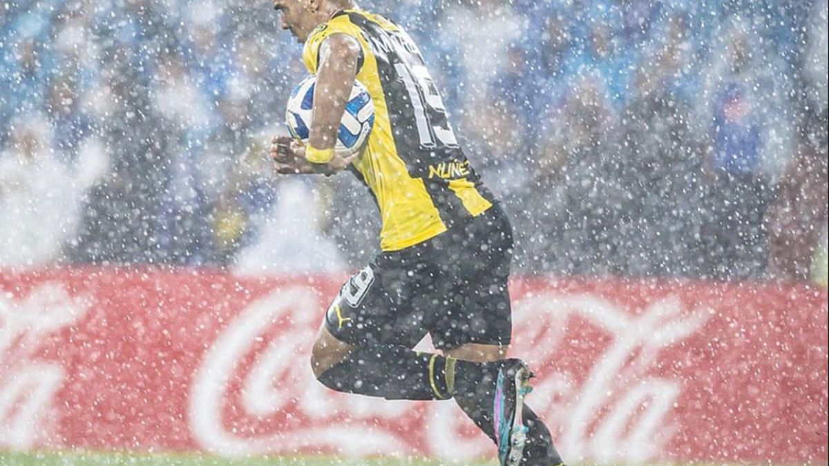 Un espectáculo del fútbol»: en Uruguay se rindieron ante Millonarios en  pleno partido en vivo