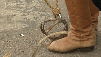 le hizo un amague con el rebenque y al subirse al caballo lo apunalo por atras: discusion termino con jinete herido