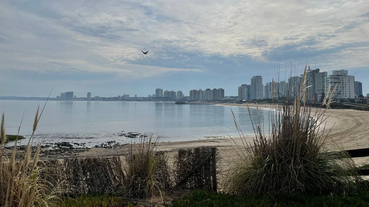 Sábado con mañana fresca y tarde calurosa en todo el país: mirá el pronóstico