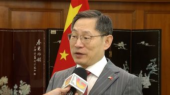 ano nuevo chino: los rituales para recibir el ano y la simbologia del caballo en la cultura oriental