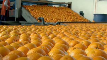 mtss solicitara al parlamento extender seguro de paro a trabajadores de ex caputto