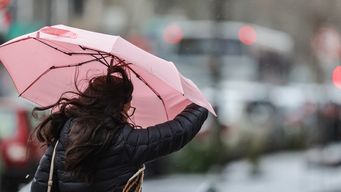 acumulados de lluvias: en la paloma fue donde se registro mayor cantidad de precipitaciones