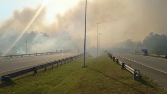 El incendio de La Floresta y Costa Azul inició la mañana de este miércoles, y 24 horas después ya estaba extinguido, sin llamas