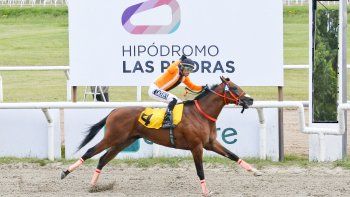 Subrayado | 8 MICRO TURF 18 D MAR