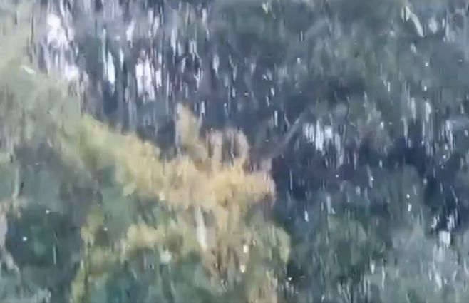nieve-nueva-palmira-colonia.jpg