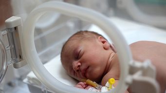 senado aprobo ley que extiende licencia paternal hasta 20 dias a privados y publicos a partir de 2026