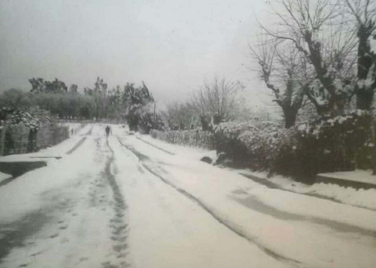 Foto cedida a Subrayado. Nieve en Agraciada (Colonia-Soriano), el 16 julio 1962. Foto cedida a Subrayado. Nieve en Agraciada (Colonia-Soriano), el 16 julio 1962.