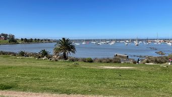 domingo calido a pleno sol con una maxima de 30° en el area metropolitana