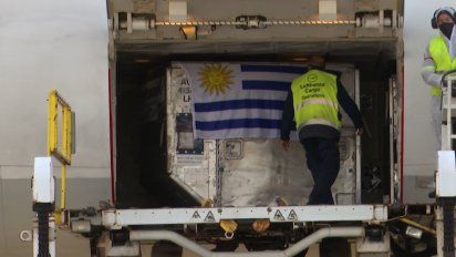 Foto: (archivo). Arribo de vacunas de Pfizer, como las que donó Estados Unidos.