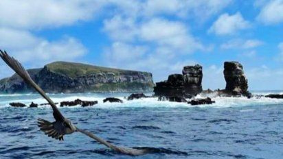 el arco de darwin en las islas galapagos colapso debido a la erosion