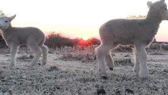 ministro de ganaderia aseguro que el frio es necesario para ciertos cultivos