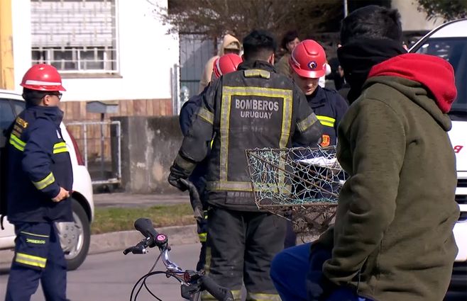 bomberos-incendios-victimas.jpg