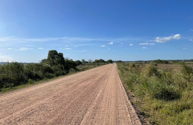 SOLEADO EN EL CAMPO.jpeg